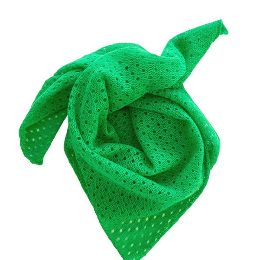 Women PETIT CALIN HAMBURG Accessories | Cashmere Cloth In Green